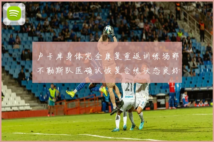 卢卡库身体完全康复重返训练场那不勒斯队医确认恢复合练状态良好
